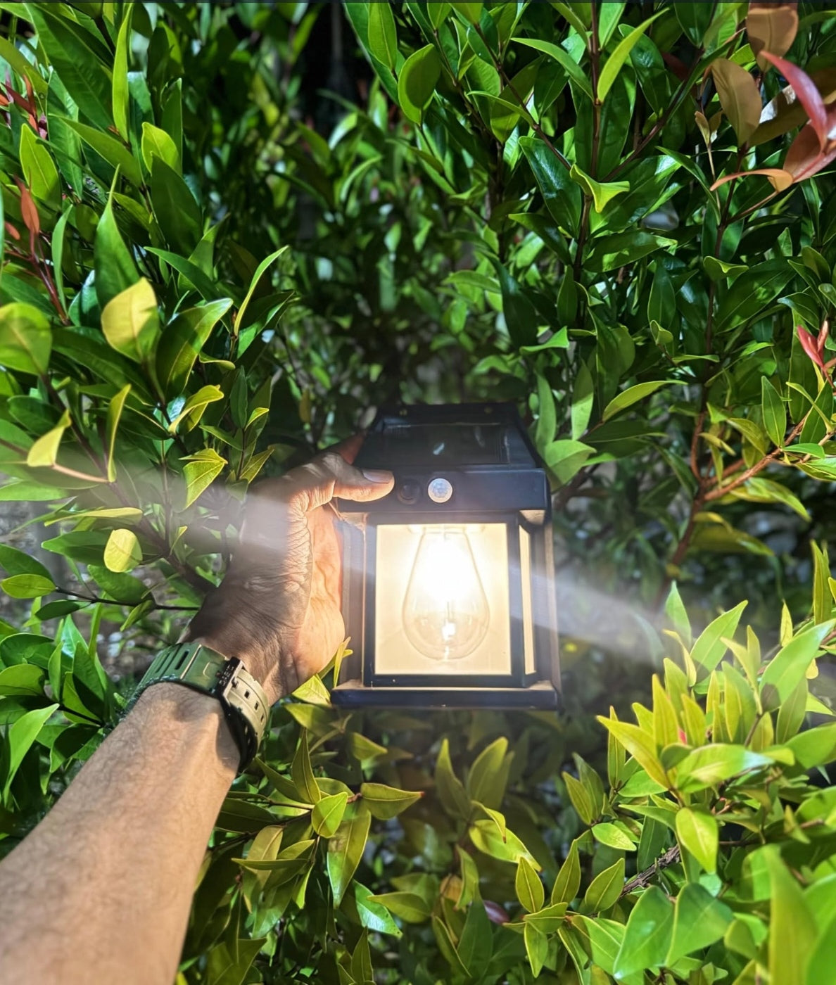 Voltzone Solar Sensor Wall Light | Automatic Outdoor LED Garden Lamp | Waterproof Solar Powered Light